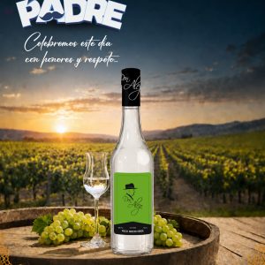 PISCO MOSTO VERDE